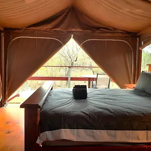  Luxury tent Wild Nature Lodge, Mareeba Wetlands Australia